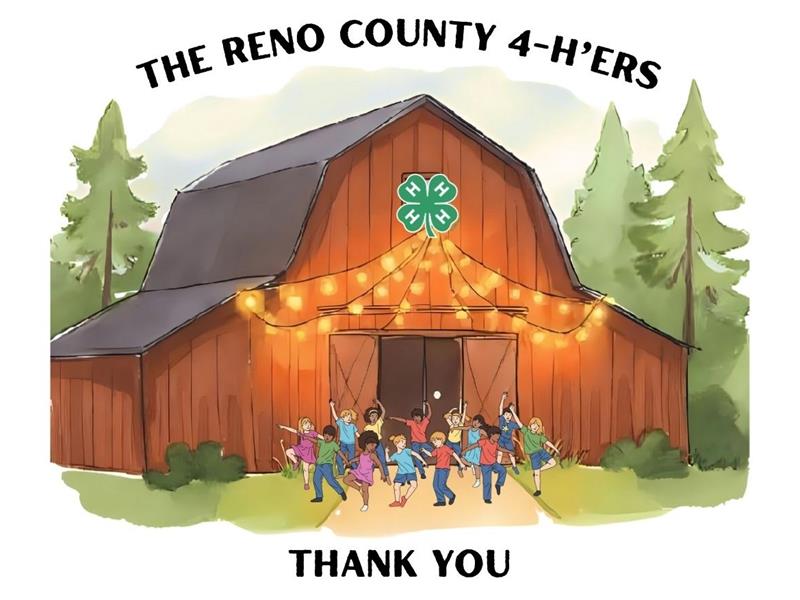 Logo for 2026 Reno County Fair